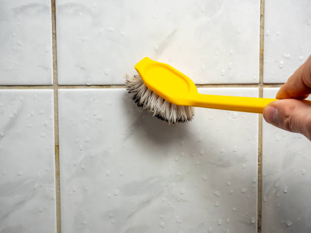 Best Post-Remediation Services in Melissa, TX
