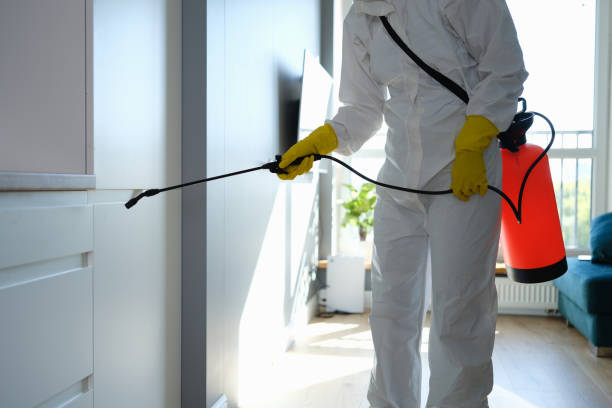  Melissa, TX Mold Removal Pros