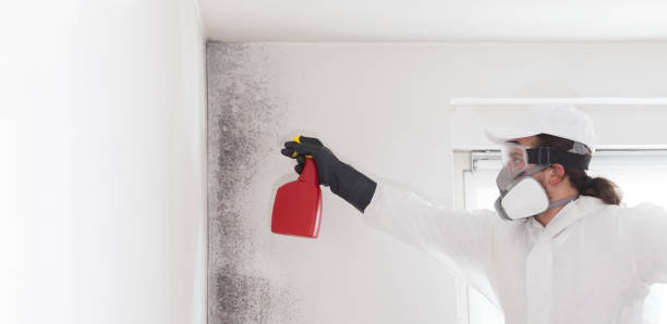 Best Crawl Space Mold Remediation in Melissa, TX
