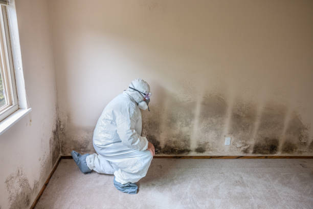 Best Crawl Space Mold Remediation in Melissa, TX